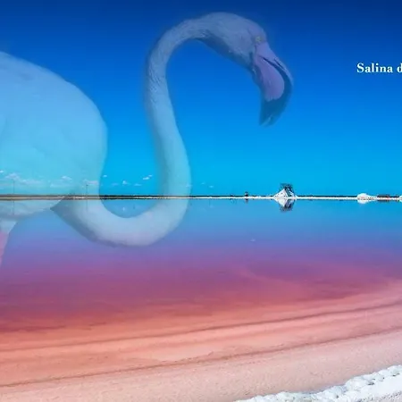 La Perla Delle Saline Margherita Di Savoia